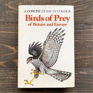 チェコの古い鳥類図鑑(Birds of Prey 1976年)/アンティーク ヴィンテージ ヨーロッパ 鳥図鑑 鳥のイラスト インテリア 洋書 雰囲気◎/