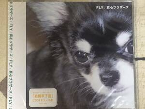 ★非売品★未開封★CD　真心ブラザーズ「FLY」 見本盤 　promo only japan mint sample rea