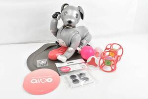 SONY アイボ ERS-1000 黒ごまエディション 限定 アイボーン サイコロ 首輪 缶バッジ AIBO 犬型 ソニー IT2KYVO56YKC-YR-J153-byebye