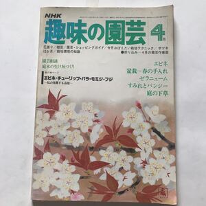 NHK趣味の園芸4月　エビネ　盆栽〜春の手入れ　ゼラニューム　すみれとパンジー　庭の下草　昭和53年