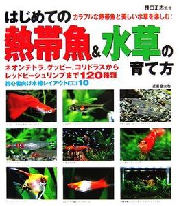 はじめての熱帯魚&水草の育て方/勝田正志【監修】