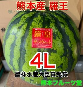 熊本産【羅皇】秀品4Lサイズ（1玉9〜10kg）熊本フルーツ堂15