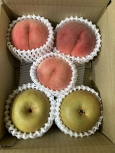 117.お買い得福島産 完熟桃 と栃木県産梨セット大玉5〜6玉入り家庭用