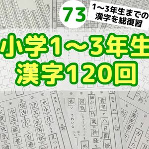 73小学１〜3年生　漢字プリント　問題　ワーク　公文　チャレンジ　学研　ドリルの王様