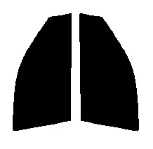 スーパーブラック　5％ 運転席、助手席　レガシー レガシィ B4 BE　カット済みフィルム　国産