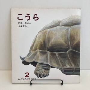 230805 かがくのとも179号「こうら」内田至 金尾恵子 1984年2月号 福音館書店★昭和レトロ当時物絵本希少古書