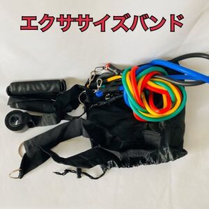 【新品未使用】 筋トレ ストレッチ チューブ フィットネス ヨガ 筋力トレーニング トレーニング エクササイズ バンド