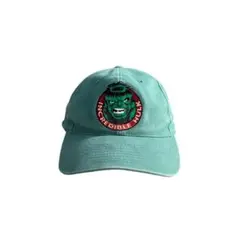 90s American Needle MARVEL HULK CAP