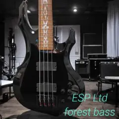 ESP Ltd forest bass フォレスト スルーネック DF-404