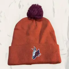 [0] ARIZONA COYOTES NHL