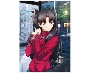 劇場版 Fate/stay night Heaven’s Feel II lost butterfly BD 限定版 とらのあな 購入 特典 アニメ 描き下ろし B2タペストリー 【遠坂凛