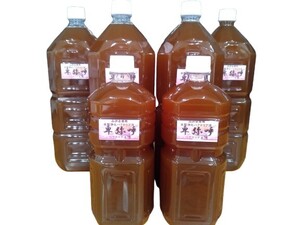 【バクテリア本舗】卑弥呼（10L）水質浄化バクテリア液　PSB/バチルス菌効果