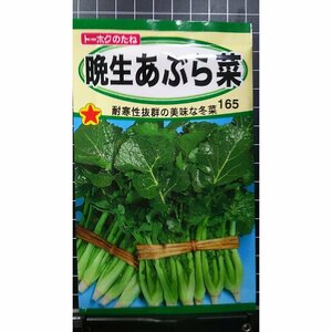 ３袋セット 晩生 あぶら菜 油菜 アブラナ 冬菜 フユナ 種 郵便は送料無料