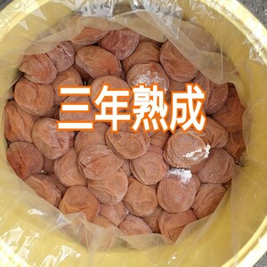 【三年熟成梅】 本場紀州南高梅 みなべ町産完熟白干し梅 A級 1kg(塩分約20％)