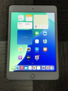 iPad mini5 WiFi A2133 64GB 5th 充電1046回 良品 初期保証有 送料無料 1円スタート