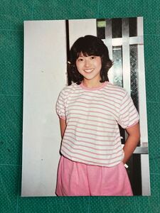 【レアショット】小泉今日子　写真　ボーダーTシャツ ピンク　適度な膨らみと丸み　デビュー当時　昭和タレント　80年代アイドル 