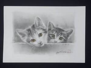 真作 真筆　白井真澄 鉛筆画 炭材画 絵画 動物画 猫 サイン入り　