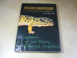 [爬虫両生類飼育図鑑カメトカゲイモリカエルの飼い方　 千石正一マリン企画] 　1991古本傷みあり　爬虫類両生類