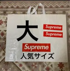 supreme ショッパー　大サイズ　ショップ袋　シュプリーム　ステッカー2枚