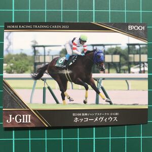 ホッコーメヴィウス 阪神ジャンプステークス EPOCH ホースレーシング カード 2022 下半期総集編 黒岩悠