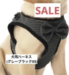 ❤️早い者勝ち❤️犬用　ハーネス グレー　XS