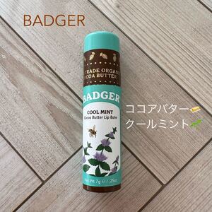 BADGER バジャー　クールミント ココアバターリップバーム リップクリーム　未使用に近い　オーガニック