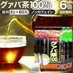 グァバ グァバ茶 グアバ グアバ茶 ガバ茶 ティーパック ティーバッグ ダイエット 2g*60包*6個セット 送料無料 宅配便