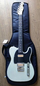 Fender Mexico Gold Foil Telecaster Ebony Fingerboard White Blonde テレキャスター