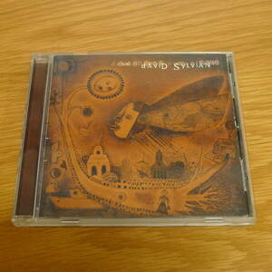 David Sylvian - Dead Bees On A Cake / Steve Jansen, 坂本龍一