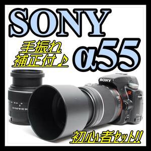 【初心者セット＆カンタン撮影＆望遠レンズ】SONY ソニー α55 デジタル一眼レフカメラ ダブルレンズ