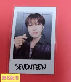 SEVENTEEN セブチ インスタントフォト ウォヌ