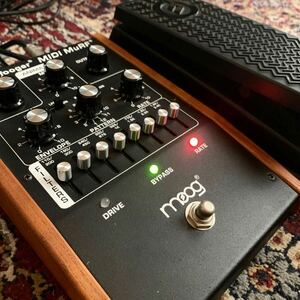 レアエフェクター 動作品 MOOG inc. moogerfooger MIDI MuRF MF-105M モーグ dtm daw モジュラーシンセ エクスプレッションペダル付属