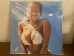 Aphex Twin Windowlicker（12inch)送料無料