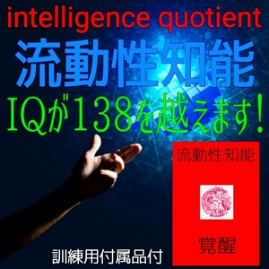 ☆★脳科学的に立証された脳内超覚醒訓練！◎瞬間的な超速処理能力と膨大な記憶力を100％実現します！☆MENSAメンサ☆知能指数☆自己啓発☆