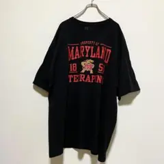 アメリカ古着　メリーランド大学　カレッジ　半袖　Tシャツ　NCAA　I1190