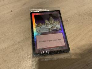 MTG　Magic the Gathering　マジックザギャザリング　英語版　Foil　ARENA　未開封　パック　レターパック発送