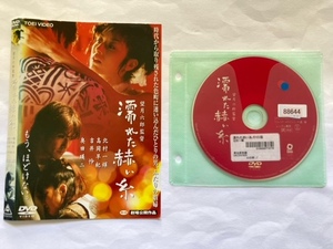 濡れた赫い糸　DVD　初期動作確認済み