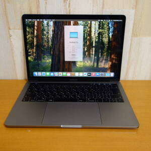 （134）Apple MacBook Pro 13インチ (Mid 2019) Core i5 1.4GHz/8GB/SSD 128GB スペースグレイ　充放電回数115回