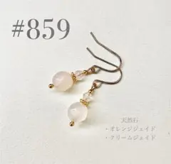 ピアス　859