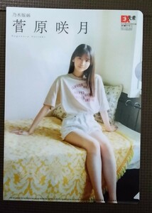 乃木坂46 菅原咲月 両面クリアファイル 新品 未使用品 限定品 非売品 クリアファイル アイドル 