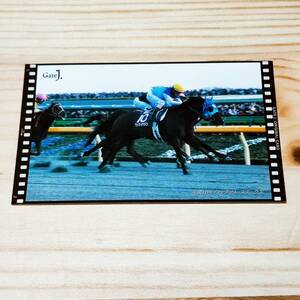 アドマイヤドン　フェブラリーステークス　名勝負カード　Gate J.　プラザエクウス　JRA　競馬　非売品　　②