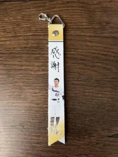 東京ヤクルトスワローズ　青木宣親　引退　ボンフィン