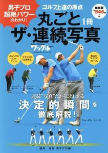 丸ごと1冊ザ・連続写真 国内、海外男子プロ編 保存版 男子プロ超絶パワー丸わかり！ ブルーガイド・グラフィック 月刊ワッグルMOOK/実業之