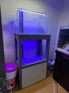 60cm 2階建て オーバーフロー水槽　濾過水槽　ポンプ　LEDライト付き　発送はできません　引き取りのみ　動画あります　海水魚飼育に