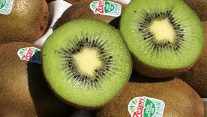 Zespri GREEN ゼスプリ グリーンキウイ 超大玉 2.2kg以上 (約18個~22個入)