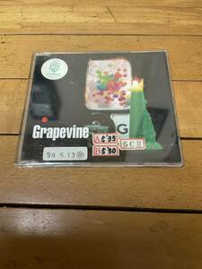 GRAPEVINE　光について