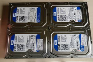 ４台セット WD 250GB×４ WD2500AAKX 3.5インチHDD SATA⑦