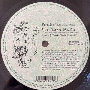 Funkshun feat. Dion/You Turn Me On/レコード/中古/DJ/club/house