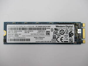 ★☆1円 ～スタート☆WDC SA530 SATA SSD M.2 2280 256GB 使用時間:4216H☆★