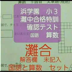 浜学園　小３　灘中合格特訓　確認テスト　国語　算数　セット